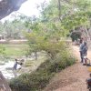 ග්‍රාමීය ආර්ථික පුනර්ජීවන කමිටු